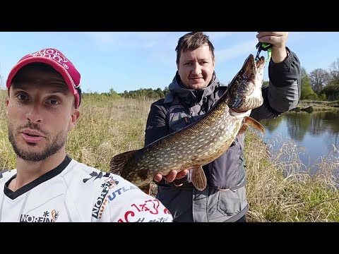 Видео: Ловля щуки на реке. Джеркбейт. Больше приманка- БОЛЬШЕ РЫБА.
