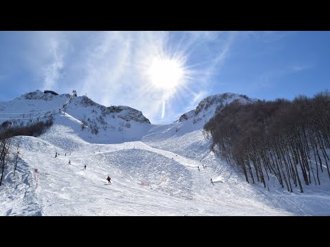 Видео: Красная поляна, трассы Панорама, Западная, Бриф, Учебная, Звёздная