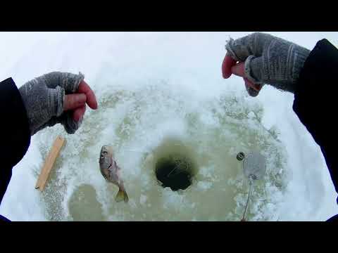Видео: ЛОВЛЯ СУДАКА НА ДОНКИ ЗИМОЙ. Рыбалка на ВОЛГЕ