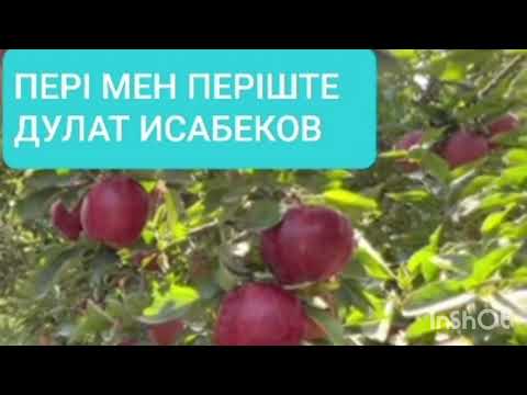 Видео: ПЕРІ МЕН ПЕРІШТЕ 5-ші бөлім| ДУЛАТ ИСАБЕКОВ | ПОВЕСТЬ
