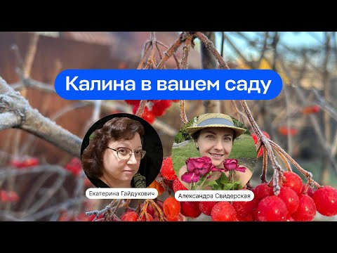 Видео: Калина в вашем саду  | Прямой эфир школы «Умный садовник»