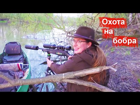 Видео: Охота с карабином на бобра в Норвегии. Охотничьи приключения в Норвегии (Охотник и рыболов)