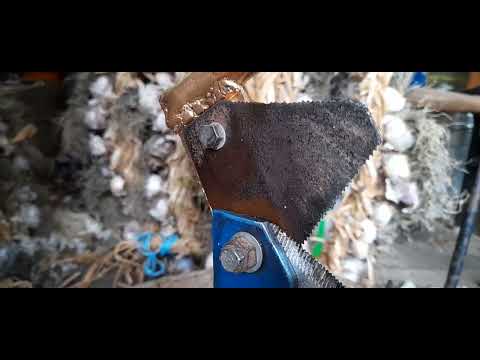 Видео: Приспособление для обрезки чеснока