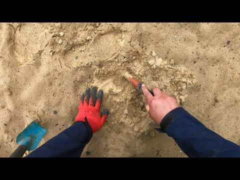 Видео: Коп на немецком пляже, и поломка   QUEST X5