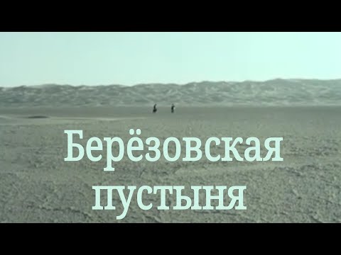 Видео: Берёзовский. Золотая пустыня. Отвалы ЦОФ. 