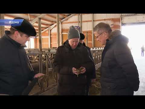 Видео: Республика LIVE #дома  Ермекеевский район. «Северная Нива»