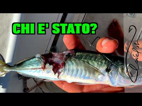 Видео: НЕОЖИДАННАЯ РЫБА!!