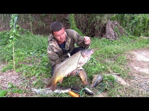 Видео: ЛУЧШАЯ РЫБАЛКА - ЗАБРАЛСЯ НА ДИКИЙ ОСТРОВ И ОФИГЕЛ ОТ КЛЁВА