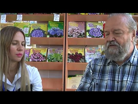 Видео: ДФ. Новинки селекции Е.Николаевой (глоксинии) 7.10.2022