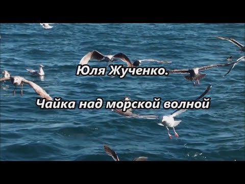 Видео: Юля Жученко.   Чайка над морской волной