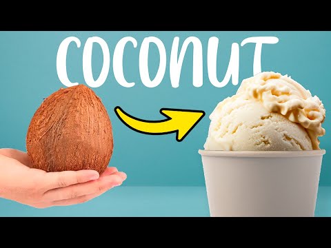 Видео: 🥥Всё Что Вам Нужно Всего 1 Кокос! Вкусный Рецепт Мороженого за 5 Минут!