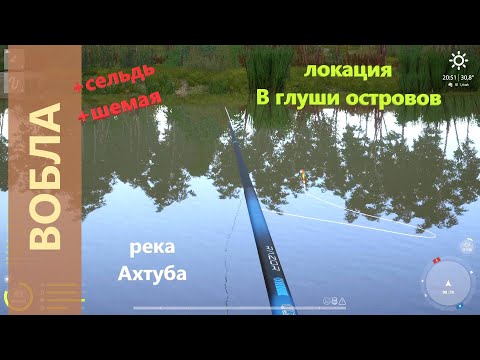 Видео: Русская рыбалка 4 - река Ахтуба - Вобла у коряги