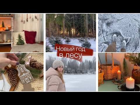 Видео: Новый год в лесном домике🏠/Рождественский декор дачи🌲/ На коньках по Волге⛸⛸