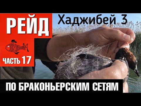 Видео: Вытащили 3.6 км сетей / Рейд по браконьерским сетям / Хаджибейский лиман 3/ Часть 17