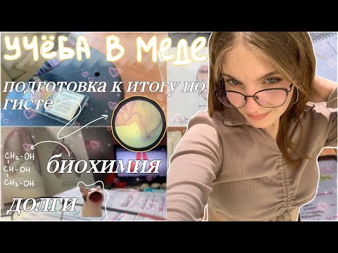 Видео: vlog: учеба на первом курсе в меде || итог по гисте || биохимия и долги🕯