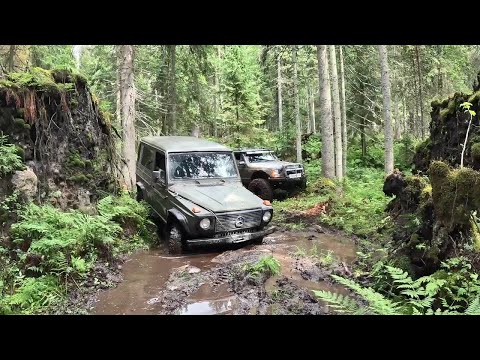 Видео: Старичок Гелик и красивый Jeep против Нивы