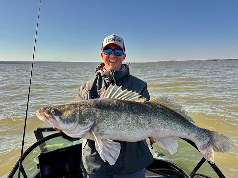 Видео: Пелалогический судак. Закрытие сезона , октябрь 2025г Новосибирск