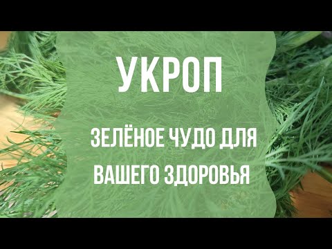 Видео: Укроп - польза для здоровья вашего организма #фитотерапия #здоровье