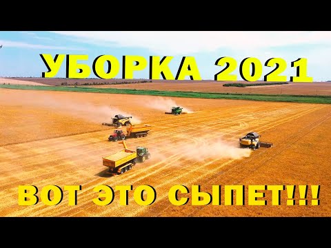 Видео: УБОРКА 2021