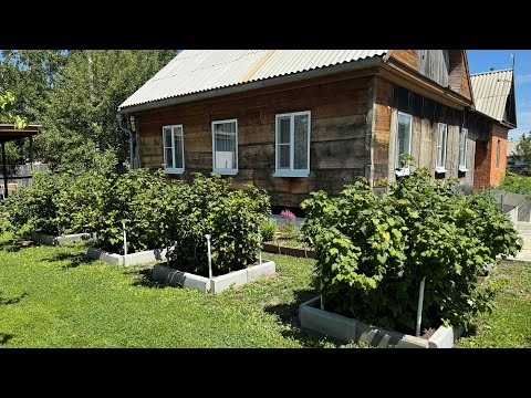 Видео: СОСЕДИ больше нас НЕ ТОПЯТ👍ОПОРЫ для СМОРОДИНЫ и моя оцека об этом👍деревенская жизнь