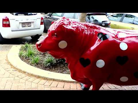 Видео: АВСТРАЛИЯ. ПРОГУЛКА. КЛИВЛЕНД, CLEVELAND, REDLANDS, QLD