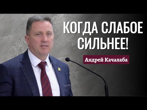 Видео: Андрей Качалаба "Когда слабое сильнее"