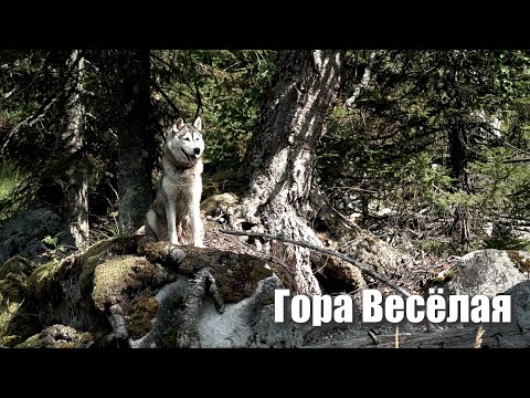 Видео: Гора Весёлая