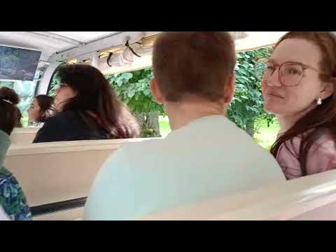 Видео: Обзорная экскурсия на маленьком электробусе по парку Петергоф