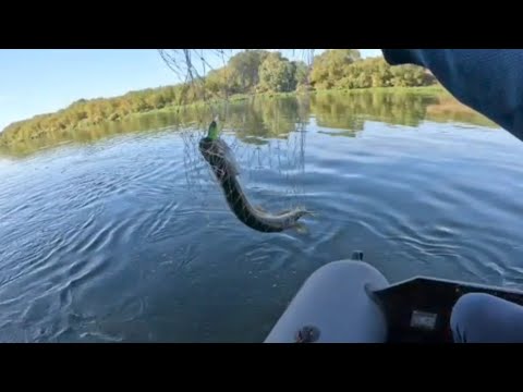 Видео: Рыбалка на хищника с лодки! Ловим на блёсна ,а клюёт на воблер!