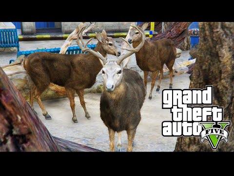 Видео: НА ЗООЛОГИЧЕСКА ГРАДИНА В GTA 5!