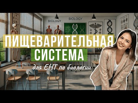 Видео: Пищеварительная система для ЕНТ по биологии