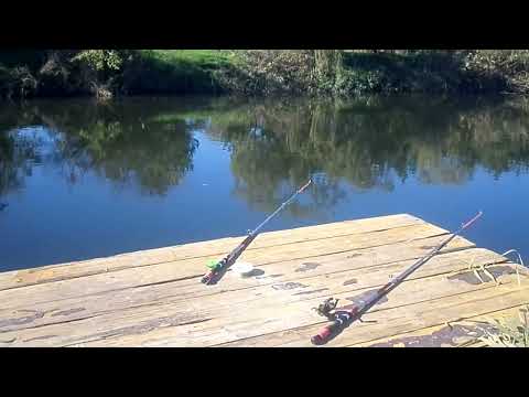 Видео: Золотая осень в деревне