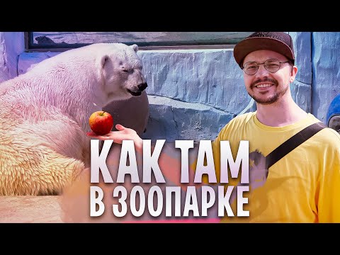 Видео: ЧТО ПОСМОТРЕТЬ В ЗООПАРКЕ ЛЕТОМ | ЕКАТЕРИНБУРГ | ВЛОГ