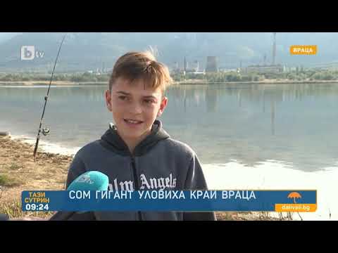 Видео: Тази сутрин: Уловиха сом гигант край Враца