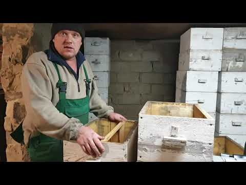 Видео: Советы начинающим пчеловода в выборе системы  ульев и рамки.  Ответы на вопросы  подписчиков.