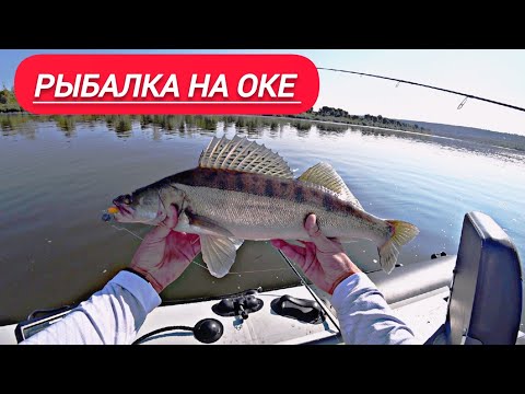 Видео: НАШЛИ КРУПНЯК! ЭТО ЛУЧШАЯ ЛЕТНЯЯ РЫБАЛКА НА ОКЕ.