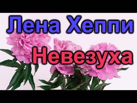 Видео: Лена Хеппи. Жена-понарошку плачется