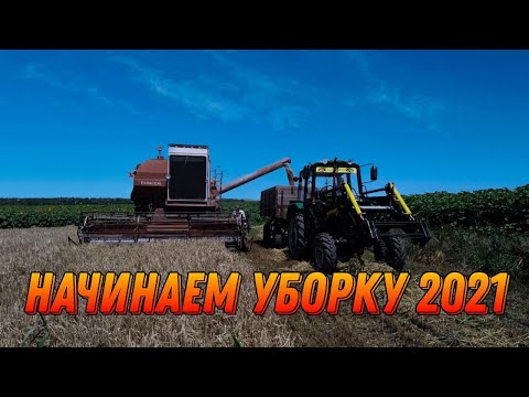 Видео: ПЕРВЫЙ ДЕНЬ УБОРКИ! УБИРАЕМ ЯРОВОЙ ЯЧМЕНЬ.