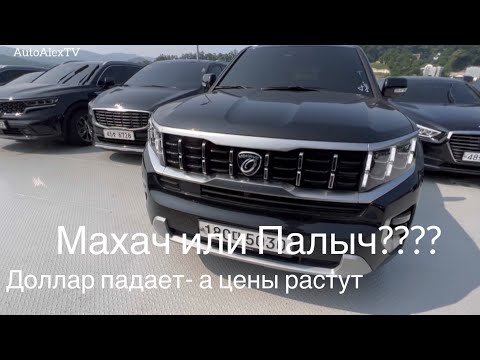 Видео: Покупка Kia Mohave 2020 и Hyundai Palisade 2019