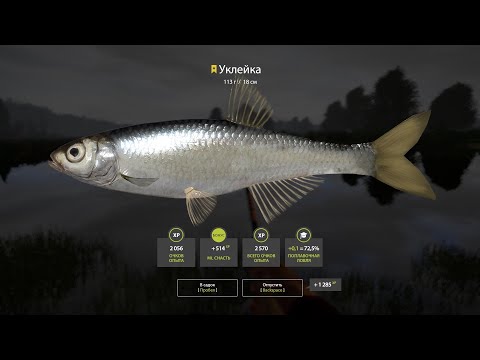 Видео: Russian Fishing 4 Клёвые места. Трофейнaя Уклейка. Фарм. Белая. РР4