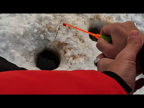 Видео: ЧУЖАЯ засратая ЛУНКА выдала ТАКОЕ...!