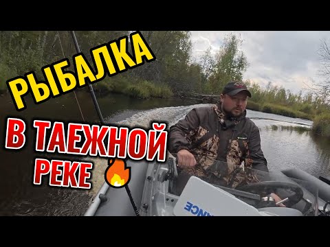 Видео: Тайга. Рыбалка. Трое Мужиков. Часть 3: Борьба за Улов