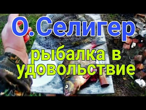 Видео: РЫБАЛКА НА СЕЛИГЕРЕ/ЩУКА НА СПИНИНГ/ РЕЦЕПТ УЛОВИСТОЙ ПРИКОРМКИ НА ЛЕЩА