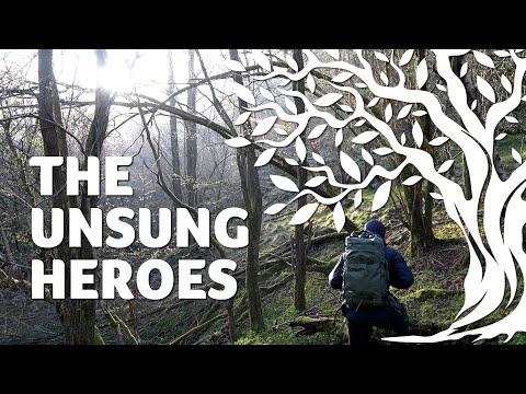 Видео: Невоспетые герои лесной фотографии