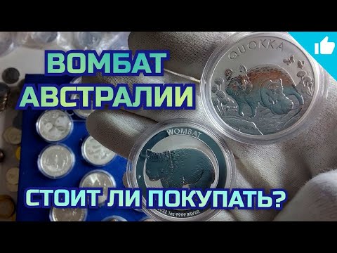 Видео: Вомбат Австралии! Стоит ли покупать инвестиционные монеты?