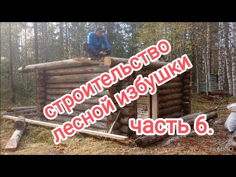 Видео: Строительство лесной избушки. Часть 6.