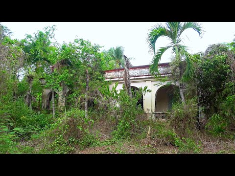 Видео: Тайна внутри старинного дома, которому более 100 лет во французский период, была похоронена