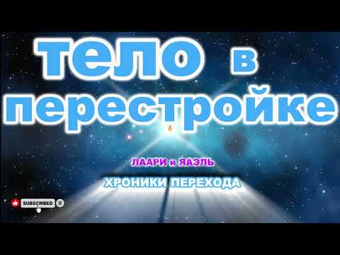Видео: ТВОЕ ТЕЛО В ПЕРЕСТРОЙКЕ