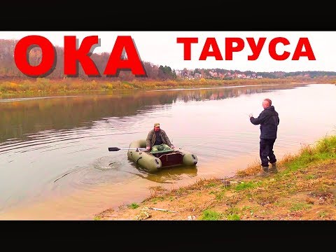 Видео: Рыбалка. Двое Суток на Оке в Калужской обл. с Леопольдом и Больничкой.
