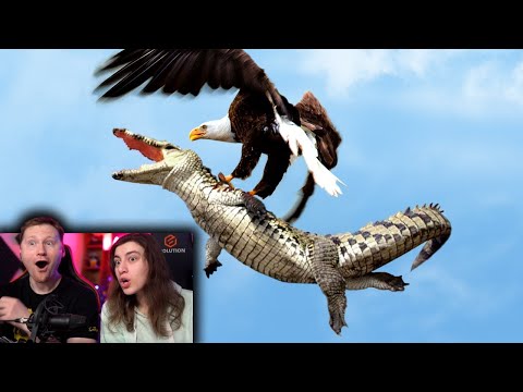 Видео: ЭТО Нужно Видеть! Битвы Диких Животных Снятые на Камеру! | РЕАКЦИЯ на Интересные Факты